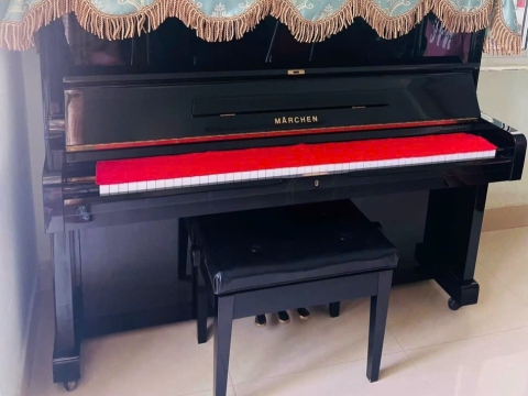 Bộ Sưu Tập Đàn Piano Upgright