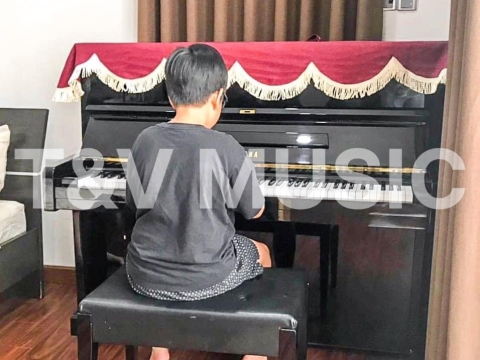 Bộ Sưu Tập Đàn Piano Upgright