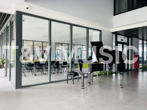 Bộ Sưu Tập Grand-T&V MUSIC 