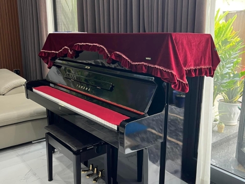 Bộ Sưu Tập Nhà Khách 