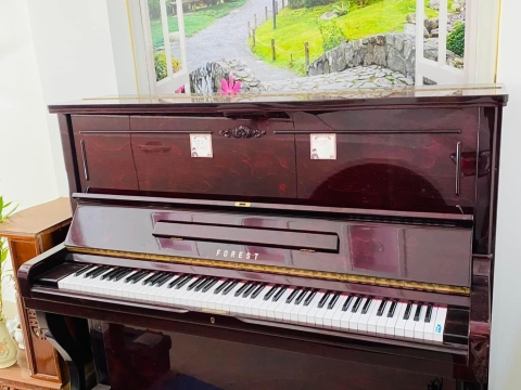 Bộ Sưu Tập Nhà Khách 