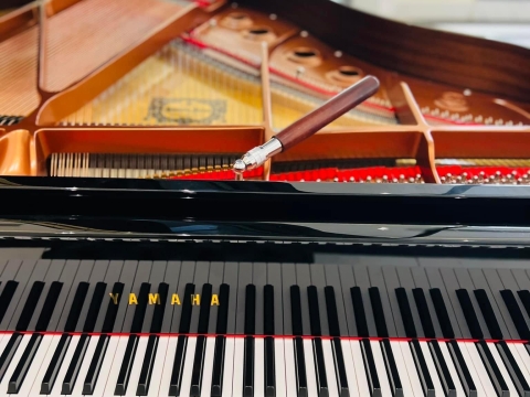 Bộ Sưu Tập Nhà Khách 