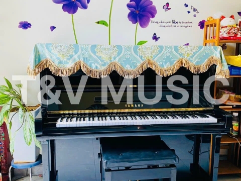 Bộ Sưu Tập Đàn Piano Upgright