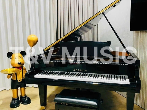 Bộ Sưu Tập Grand-T&V MUSIC 