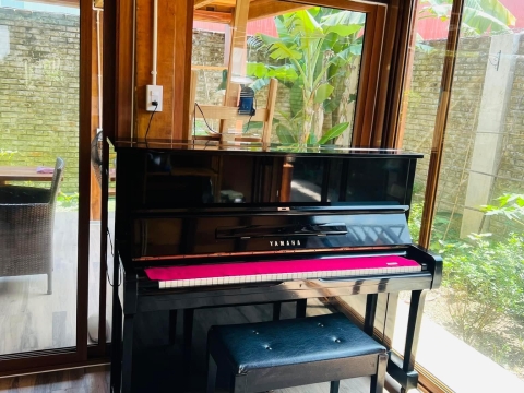 Bộ Sưu Tập Nhà Khách 