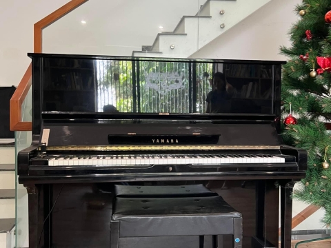 Bộ Sưu Tập Nhà Khách 