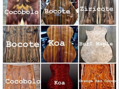 Bộ Sưu Tập Gỗ Độc Quyền Tại T&V Music Center