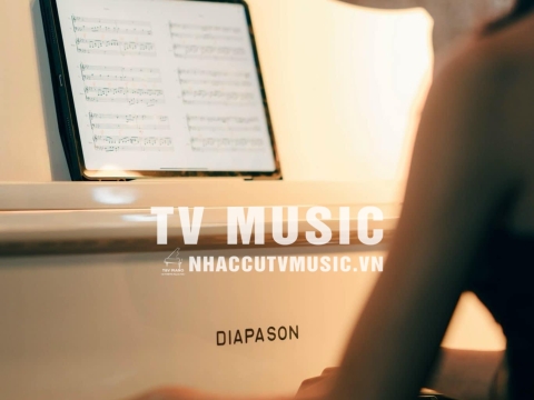 Bộ Sưu Tập Đàn Piano Upgright