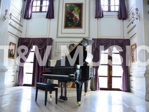 Bộ Sưu Tập Grand-T&V MUSIC 