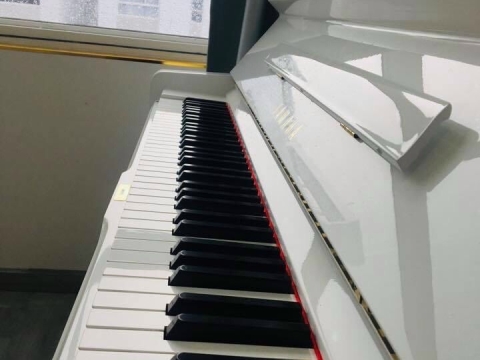 Màu Trắng Tinh Khôi