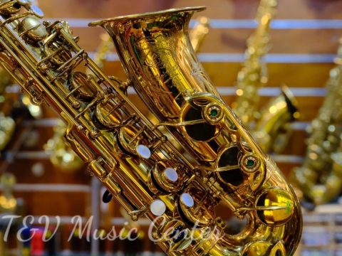Bộ Sưu Tập Saxophone
