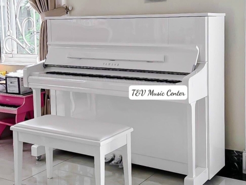 Màu Trắng Tinh Khôi