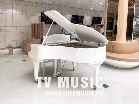 Bộ Sưu Tập Đàn Piano Upgright