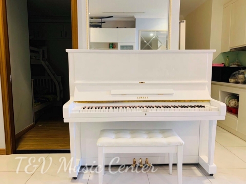 Màu Trắng Tinh Khôi