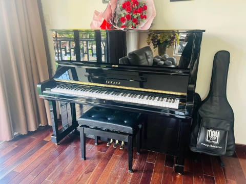 Bộ Sưu Tập Nhà Khách 