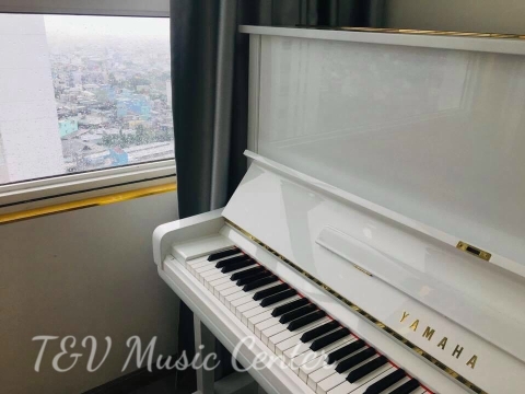 Màu Trắng Tinh Khôi