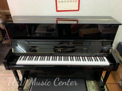 Hình Ảnh Bàn Giao Đàn