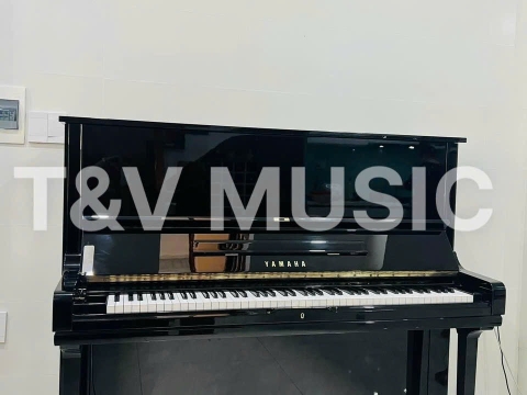 Bộ Sưu Tập Đàn Piano Upgright