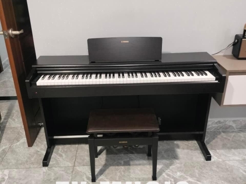 Bộ Sưu Tập Đàn Piano Upgright