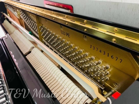 Hình Ảnh Bàn Giao Đàn