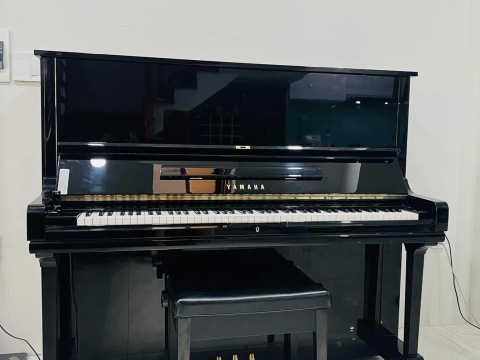 Bộ Sưu Tập Nhà Khách 