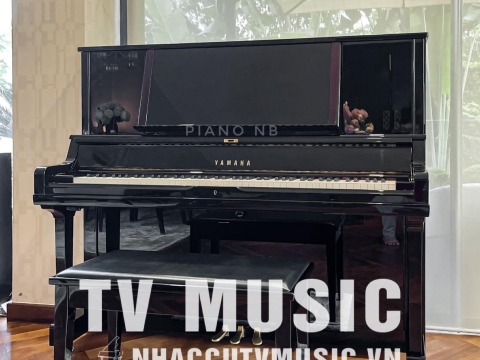 Bộ Sưu Tập Đàn Piano Upgright