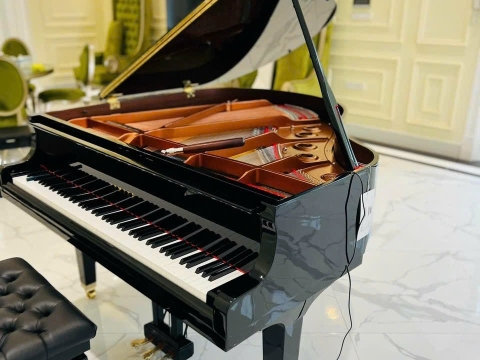 Bộ Sưu Tập Grand-T&V MUSIC 