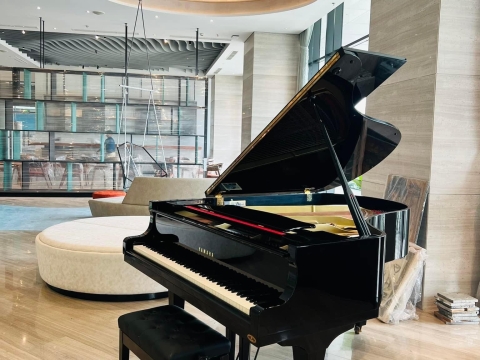 Bộ Sưu Tập Nhà Khách 