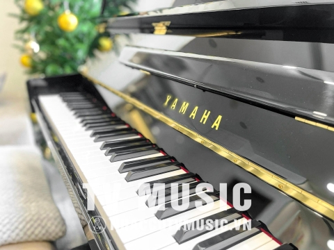 Bộ Sưu Tập Đàn Piano Upgright
