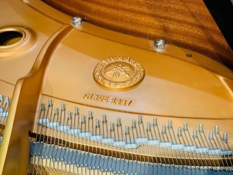 Grand Yamaha 100 Years