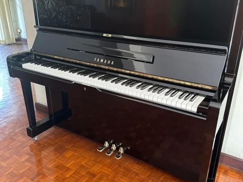 Bộ Sưu Tập Đàn Piano Upgright