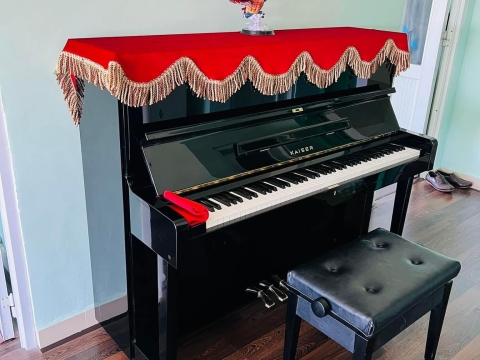 Bộ Sưu Tập Nhà Khách 