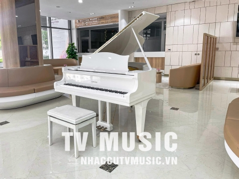 Bộ Sưu Tập Đàn Piano Upgright