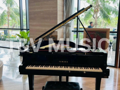 Bộ Sưu Tập Grand-T&V MUSIC 