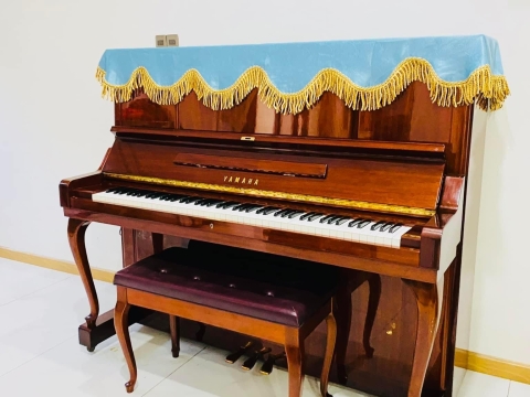 Bộ Sưu Tập Nhà Khách 