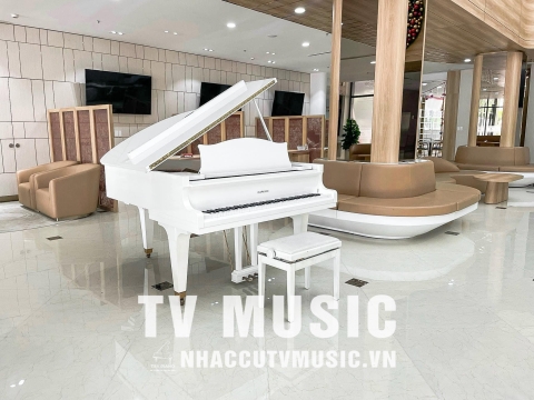 Bộ Sưu Tập Đàn Piano Upgright