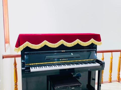 Bộ Sưu Tập Nhà Khách 