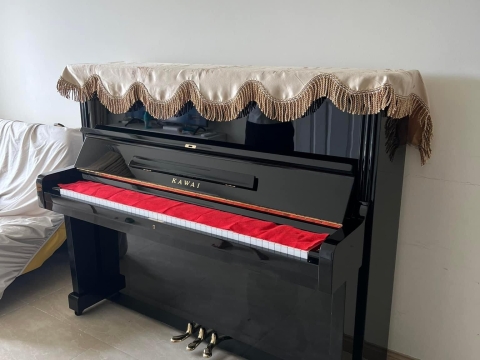 Bộ Sưu Tập Nhà Khách 