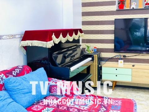 Bộ Sưu Tập Đàn Piano Upgright