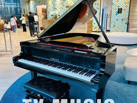 Bộ Sưu Tập Nhà Khách 