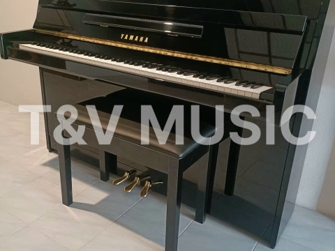 Hình Ảnh Bàn Giao Đàn