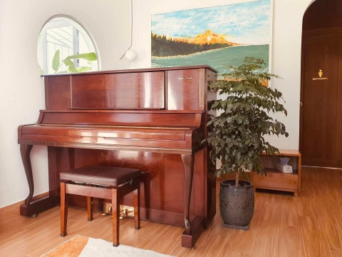 Bộ Sưu Tập Nhà Khách 