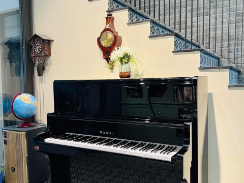 Bộ Sưu Tập Nhà Khách 