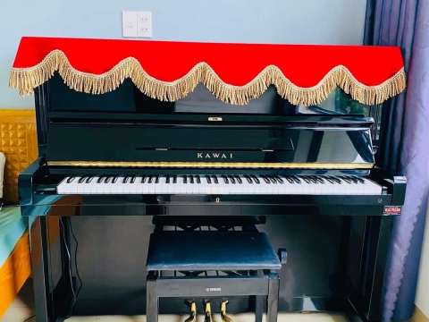 Bộ Sưu Tập Nhà Khách 