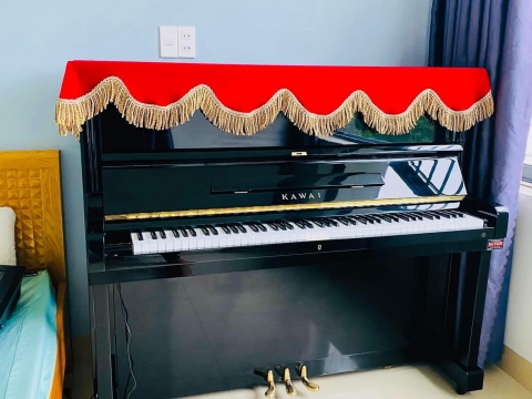 Bộ Sưu Tập Nhà Khách 