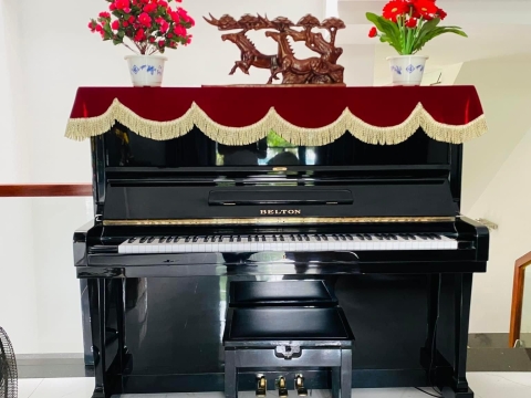 Bộ Sưu Tập Nhà Khách 