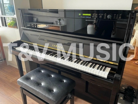 Bộ Sưu Tập Đàn Piano Upgright
