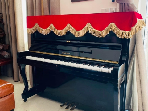 Bộ Sưu Tập Nhà Khách 