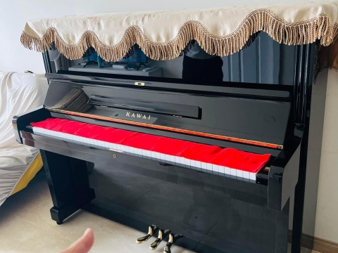 Bộ Sưu Tập Nhà Khách 