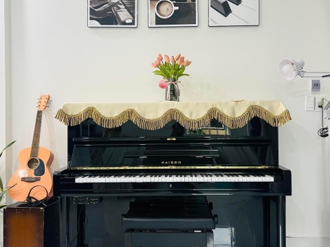 Bộ Sưu Tập Nhà Khách 